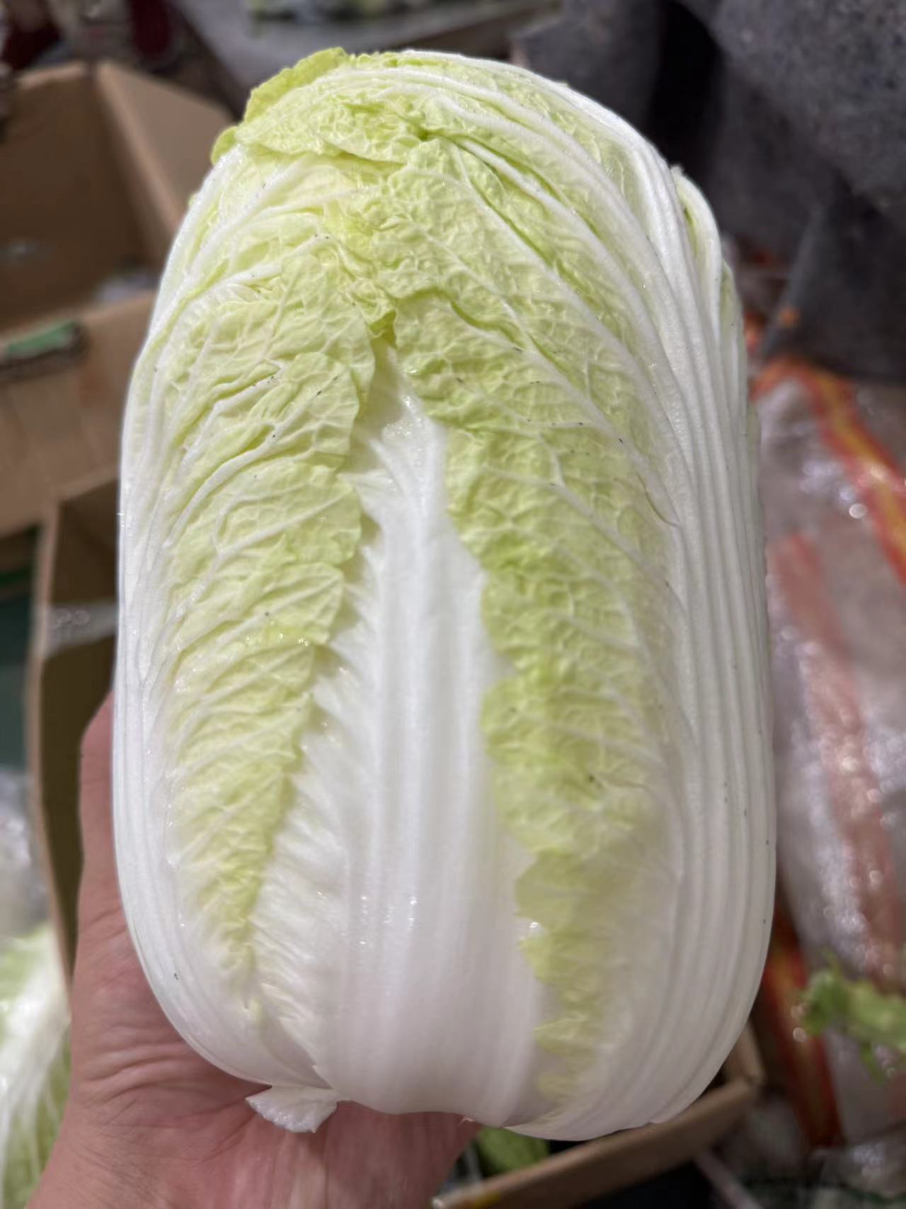 净菜加工
